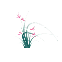 七夕情人节节植物