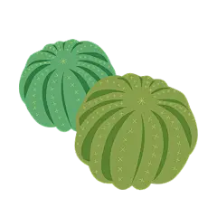 扁平-世界防治荒漠化-沙漠氛围元素仙人球