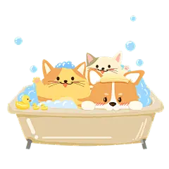 卡通感文体娱猫元素 