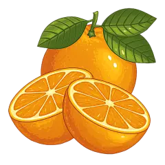 常规内容-果蔬系列写实橙子插画元素