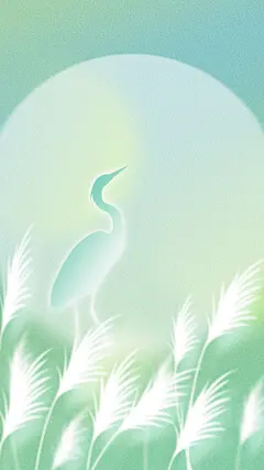 白露肌理光感芦苇白鹭圆月背景