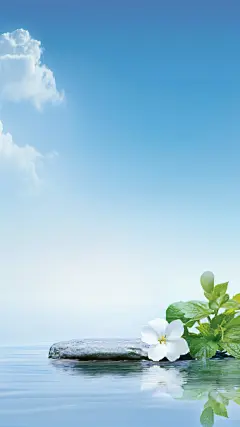 背景系列清新感水面植物渐变岩石展台