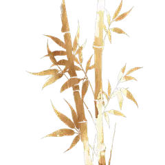 植物通用插画烫金竹子元素素材