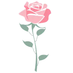 植物矢量插画红粉色玫瑰元素素材