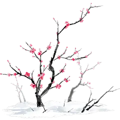 传统节气冬季冬天梅花植物元素