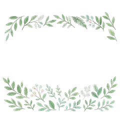 常规内容-边框系列植物插画边框元素