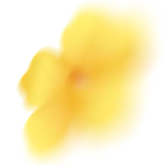 惊蛰光感弥散花元素