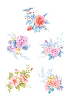 素材组合-手绘花卉元素