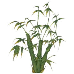手绘-工笔画竹子植物贴纸8
