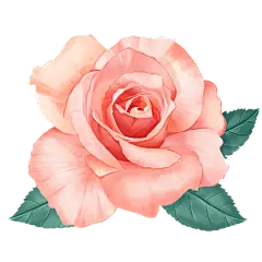 唯美绿叶插画玫瑰元素