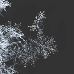 常规内容-特效系列雪花特效元素