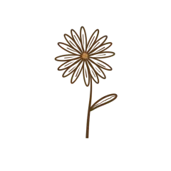 手绘花朵花卉植物线稿