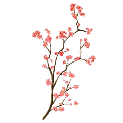 中国风元素贴纸-梅花