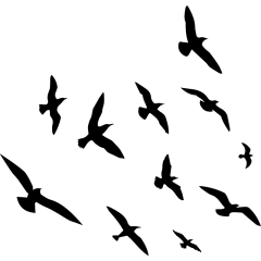 通用插画鸽子燕子动物单色剪影贴纸元素素材
