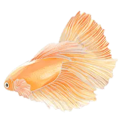 手绘-梦幻清新金鱼动物元素贴纸10