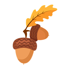 手绘-秋天元素-橡果