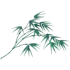 手绘-工笔画竹子植物贴纸6