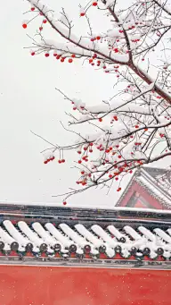 通用中式红色建筑雪景背景素材