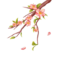中国风-桃花花枝贴纸元素-桃花花枝
