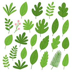 常规内容-植物系列卡通风叶片插画元素组合