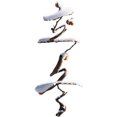 冬天通用立冬节气异形同构艺术字