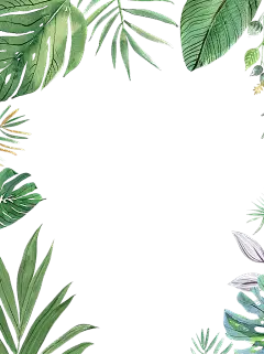 植物系列手绘风热带大叶片边框元素
