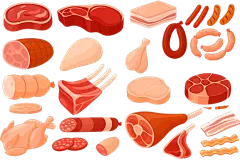 常规内容-美食系列卡通肉类食物插画元素