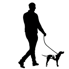 矢量风遛狗人物剪影插画贴纸3