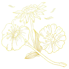 手绘-描边鎏金花卉植物元素贴纸6