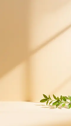 背景系列简约感光影植物展台