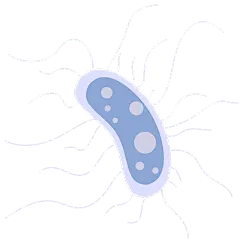 扁平风病毒细菌医疗元素贴纸2