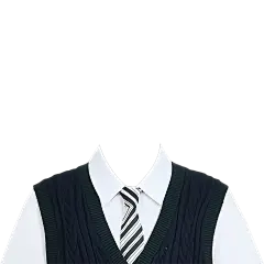 服饰系列写实衬衫加深色毛衣证件照服饰元素