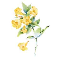 手绘水彩黄色花朵花卉元素