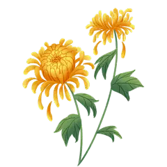 手绘-秋天季节元素贴纸svg-菊花