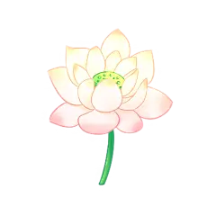 夏至莲花元素中国风贴纸
