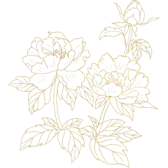 植物系列手绘金色线描牡丹花枝