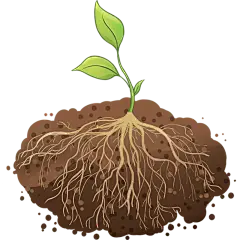 常规通用扁平植物生长贴纸元素素材