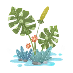 手绘-插花花艺组合植物元素贴纸8