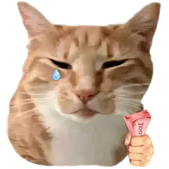 恶搞抽象猫meme含泪赚钱搞笑贴纸AIGC