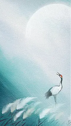 暴露节气芦苇白鹭背景图片