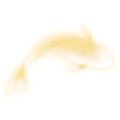教师节通用肌理发光的鱼动物贴纸