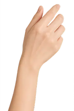 人体部位写实手拿手势动作