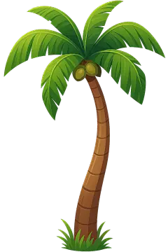 植物系列卡通风椰子树插画元素（td）