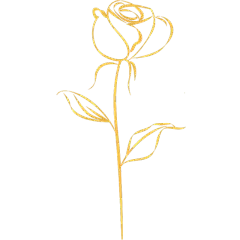 植物插画黄色线条玫瑰花元素素材