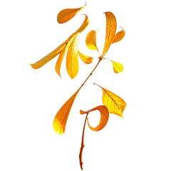 秋分肌理感创意渐变手写aigc合成艺术字