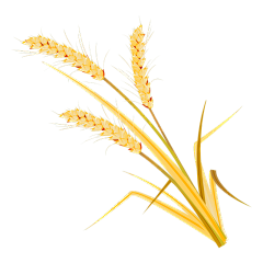 手绘-秋天元素贴纸-麦穗