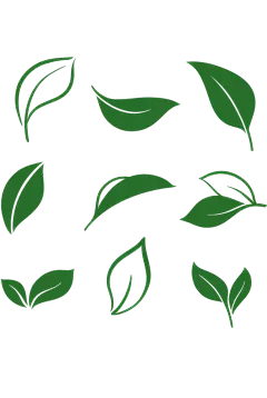 植物绿色矢量树叶图标元素素材