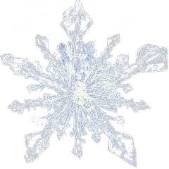冬天冬季冬日节气写实冰晶雪花元素素材