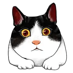 手绘猫咪插画