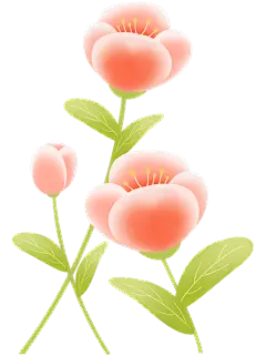 常规植物系列插画风弥散多支花元素贴纸